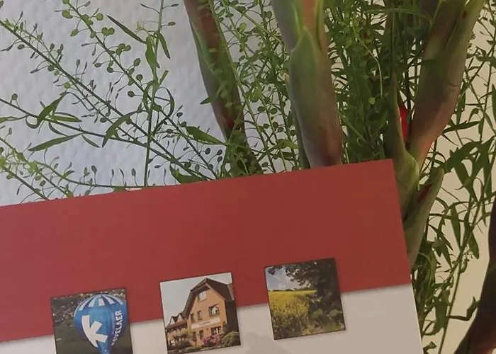 酒店 阿姆布奈豪斯斯塔德酒店